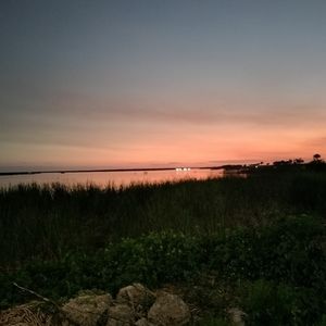 Meet your Posher, Sherry